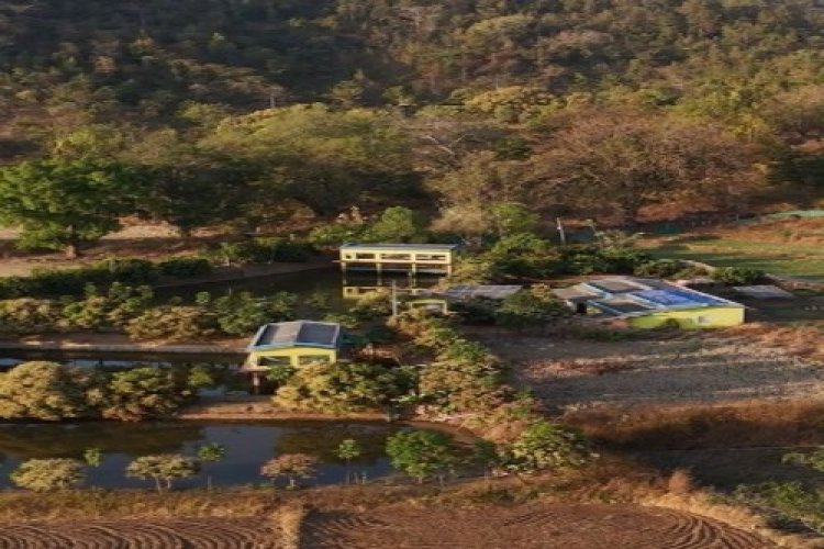 तालाब के ऊपर मुर्गी पालन कर खेती को और अधिक लाभकारी बनाया