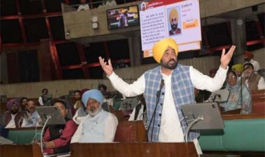 विधानसभा में बोले सीएम मान, 20 मार्च को आएगा टाटा का बड़ा प्रोजेक्ट, 4 हजार नौकरियां मिलेंगी