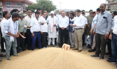 ऊर्जा मंत्री ने किया भामाशाह कृषि उपज मंडी का दौरा