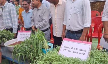 हरी खाद से बदल रही खेती की तस्वीर: कम लागत, बेहतर मुनाफा और स्वस्थ मिट्टी’