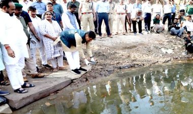 चंबल के कछुए बने नमामि गंगे मिशन में मां गंगा के ‘प्राकृतिक सफाई-योद्धा’