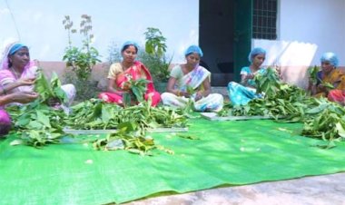 वन धन विकास केंद्र पंचक्की : स्व-सहायता समूहों को 23 लाख से अधिक की वार्षिक आय