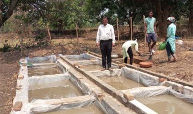 शासकीय फार्म में नील-हरित काई उत्पादन की शुरुआत, किसानों को मिलेगा सस्ता जैव उर्वरक