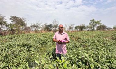 किसान हितैषी योजनाओं से आत्मनिर्भर बने संजय साहू, नवाचार से बदल दी खेती की तस्वीर