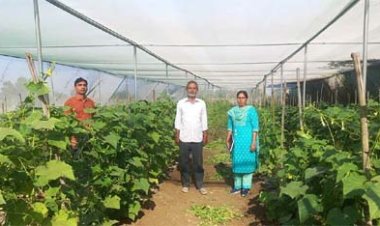 राष्ट्रीय बागवानी मिशन: किसान मनीष मिश्रा ने खीरे की फसल से प्राप्त की 02 लाख रुपये की आमदनी