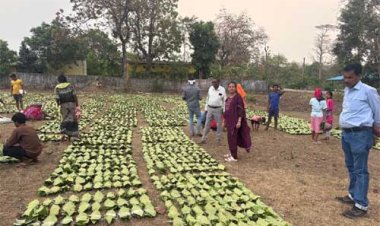 हरा सोना संग्राहकों की आय बढ़ाने की दिशा में बड़ा कदम