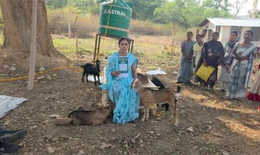 ‘सरगुजा छेरी बैंक’ मॉडल से ग्रामीण महिलाओं को मिल रही आर्थिक आज़ादी की नई राह