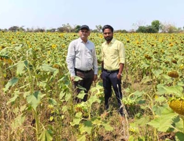 धान के अलावा दलहन-तिलहन व सब्जी की करें खेती: कृषि मंत्री रामविचार नेताम