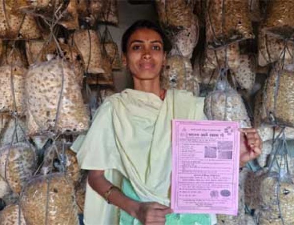 संघर्ष से समृद्धि तक के सफर की मिसाल, बिहान मिशन से जुड़कर बदली जिंदगी