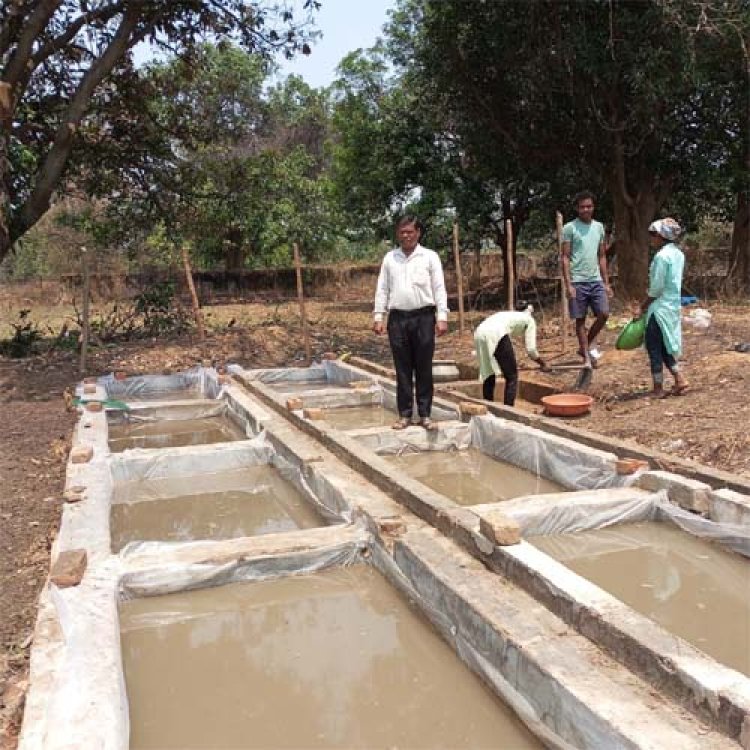 शासकीय फार्म में नील-हरित काई उत्पादन की शुरुआत, किसानों को मिलेगा सस्ता जैव उर्वरक