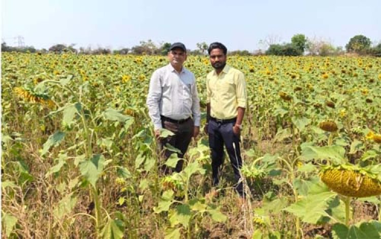 धान के अलावा दलहन-तिलहन व सब्जी की करें खेती: कृषि मंत्री रामविचार नेताम