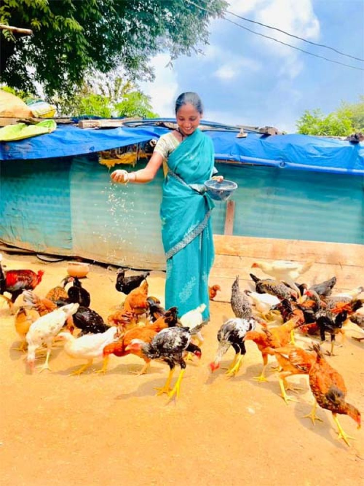 एकीकृत कृषि और आजीविका के लिए  'दीदी के बखरी' से आ रही नई क्रांति कांकेर जिले की पहल