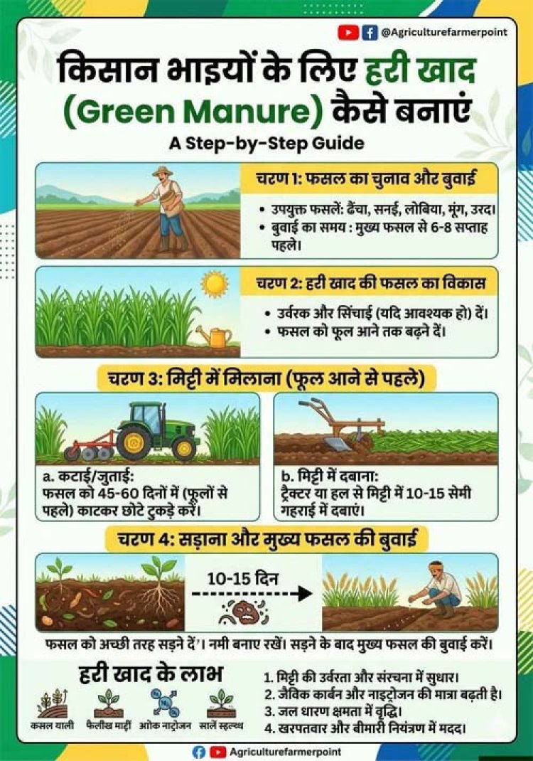 हरी खाद का उपयोग मिट्टी के लिए जीवनदायिनी संजीवनी से कम नहीं