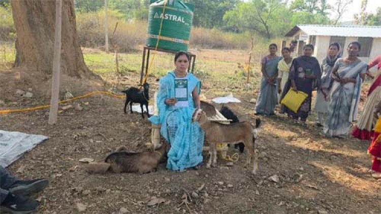 ‘सरगुजा छेरी बैंक’ मॉडल से ग्रामीण महिलाओं को मिल रही आर्थिक आज़ादी की नई राह