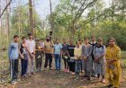 बारनवापारा के देवपुर जंगल में दिखी दुर्लभ विशाल भारतीय गिलहरी