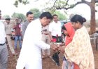 तेन्दूपत्ता संग्रहण में छत्तीसगढ़ ने बनाया नया रिकॉर्ड, अब तक 13.52 लाख मानक बोरा संग्रहित