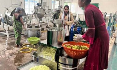 बदलता छत्तीसगढ़ : वनोपज की चमक से संवरती ग्रामीण अर्थव्यवस्था