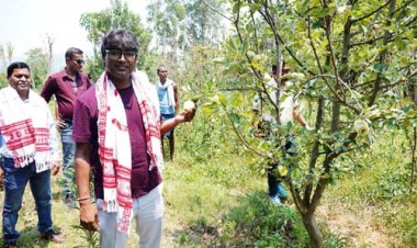 जशपुर के किसान खेती में बना रहे हैं अलग पहचान