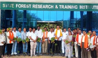 औषधीय पौधों की खेती छत्तीसगढ़ के किसानों की आर्थिक उन्नति का बेहतर विकल्प: अंजय शुक्ला