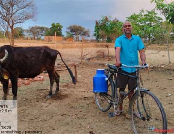 मनरेगा से मिला पशु शेड, डेयरी व्यवसाय से बढ़ी आय और बदली जिंदगी 