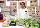 जैविक सब्जी के उत्पादन और एप्पल की खेती से बनाई नई पहचान