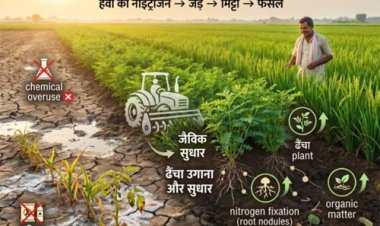 खरीफ 2026 : धान और हरी खाद के बीजों का पर्याप्त भंडारण, किसानों को समय पर मिलेगा लाभ