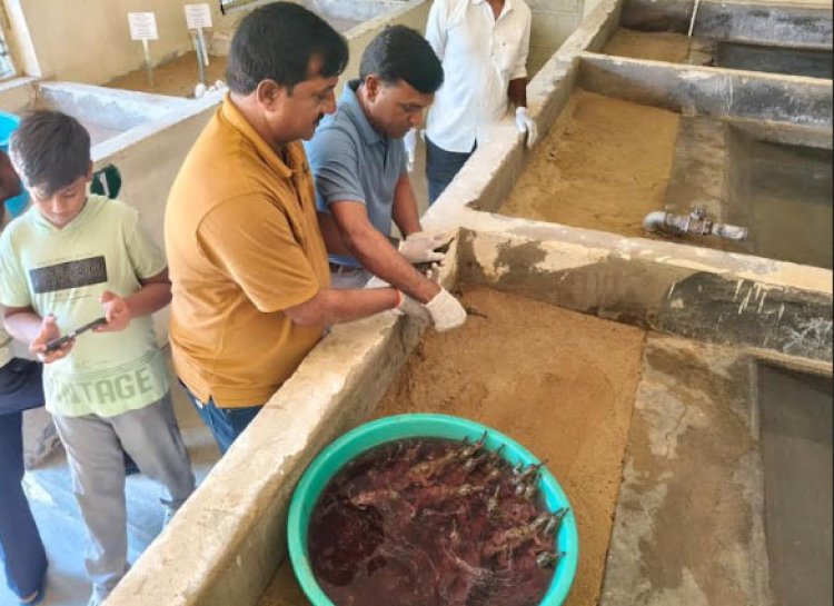 देवरी घड़ियाल केंद्र के अंतर्गत बाबू सिंह घेर क्षेत्र से घड़ियाल के 95 अंडों का सफलतापूर्वक किया गया संग्रहण    