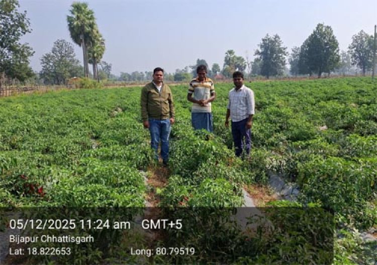 शेडनेट हाउस ने बदली किसान की तकदीर