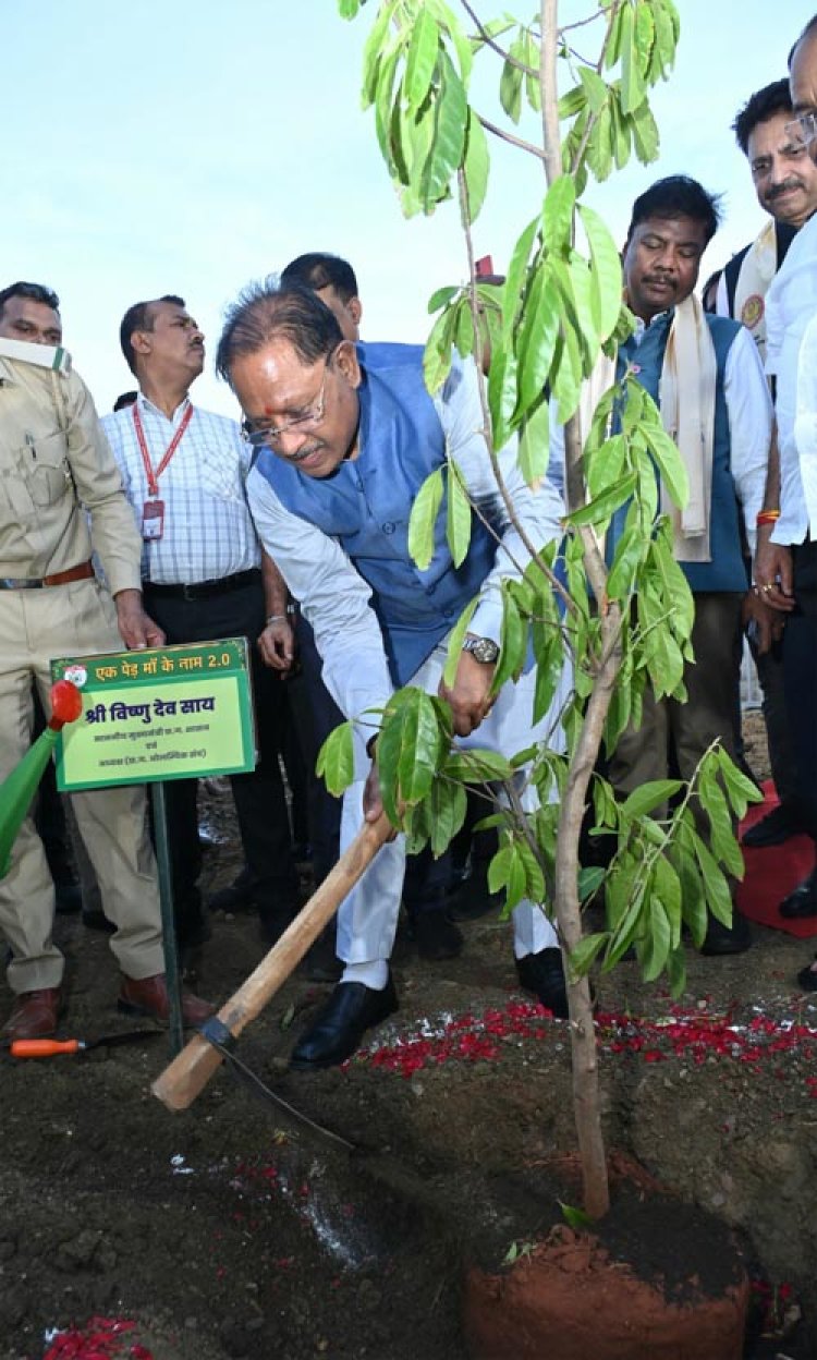 मुख्यमंत्री विष्णुदेव साय ने खिलाड़ियों का बढ़ाया उत्साह: 2036 पौधों के रोपण से ओलंपिक मेजबानी के संकल्प को दी नई ऊर्जा
