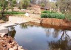 जल संरक्षण से समृद्धि की नई धारा: चन्द्रगढ़ का चेक डेम बना किसानों की खुशहाली का आधार