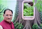 आज लगाया गया हर पौधा आने वाली पीढ़ियों के सुरक्षित भविष्य का आधार बनेगा : मुख्यमंत्री विष्णुदेव साय