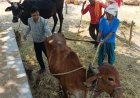 वैज्ञानिक पशुपालन से मिसाल बने धमतरी के धनऊ सोनकर