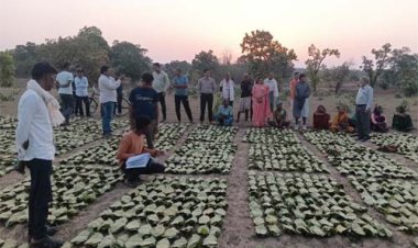साय सरकार के सुशासन में तेन्दूपत्ता संग्राहकों को मिली आर्थिक मजबूती, 10,160 हितग्राहियों के खातों में पहुँची 1.39 करोड़ रुपये से अधिक की बोनस राशि