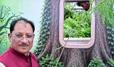 आज लगाया गया हर पौधा आने वाली पीढ़ियों के सुरक्षित भविष्य का आधार बनेगा : मुख्यमंत्री विष्णुदेव साय