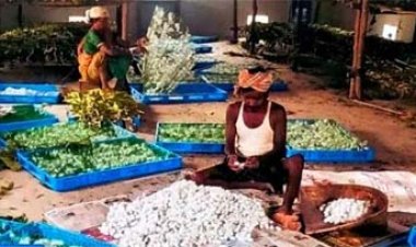 नारायणपुर में रेशम से बुना जा रहा आत्मनिर्भरता का ताना-बाना
