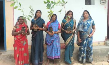 मुख्यमंत्री विष्णुदेव साय के नेतृत्व में पर्यावरण संरक्षण को जनआंदोलन बनाने की अभिनव पहल