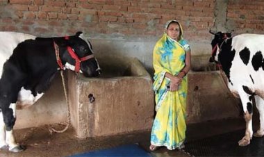 ​कृत्रिम गर्भाधान से बदली किस्मत, कंचनपुर की प्रेम कुमारी बनीं सफल डेयरी उद्यमी
