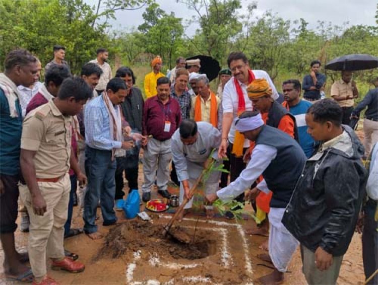 जैव विविधता पार्क कांकेर के माकड़ी में औषधिय पौधों का रोपण- पारंपरिक चिकित्सा को बढ़ावा देने की नई पहल