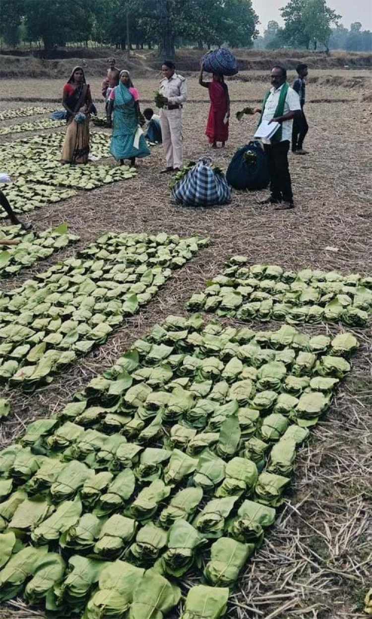 तेन्दूपत्ता संग्राहकों के खातों में पहुंचने लगी बोनस राशि