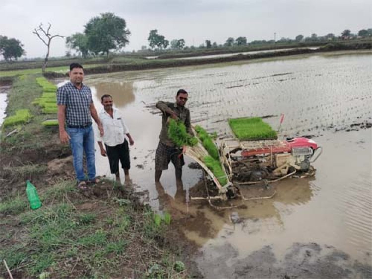 किसान अब उन्नत तकनीक की ओर अग्रसर, पैडी ट्रांसप्लांटर विधि से धान रोपाई