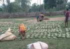 तेन्दूपत्ता संग्रहण की नई पहल से अबुझमाड़ के 22 गांवों को मिला लाभ