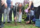 उप मुख्यमंत्री अरुण साव ने किया पौधारोपण, बोले हरियाली बढ़ेगी तो पर्यावरण भी स्वस्थ और सुंदर बनेगा