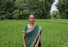 बिहान से आत्मनिर्भर बनीं शकुंतला राजवाड़े, कम लागत की खेती से बढ़ा आय का आधार