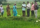 डिजिटल क्रांति की ओर नारायणपुर का कृषि क्षेत्र