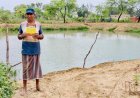 डबरी बनी रामभजन की समृद्धि का आधार, खेती के साथ मछली पालन से बढ़ी आय