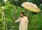 बाड़ी से निकली समृद्धि की राह, सपनों को मिली नई उड़ान