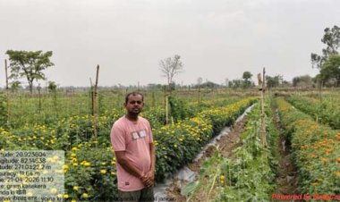 गेंदा फूल की खेती से किसान हेमचंद साहू की बदली तस्वीर