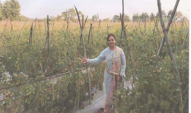  टमाटर की खेती से भारती की बढ़ी आमदनी