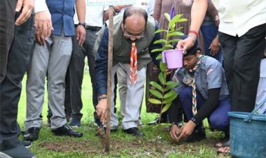 उप मुख्यमंत्री अरुण साव ने किया पौधारोपण, बोले हरियाली बढ़ेगी तो पर्यावरण भी स्वस्थ और सुंदर बनेगा