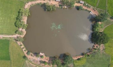 अमृत सरोवरों के तट पर मनेगा स्वतंत्रता दिवस, जांजगीर-चांपा में होंगे विशेष आयोजन
